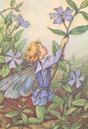 periwinkle fairy